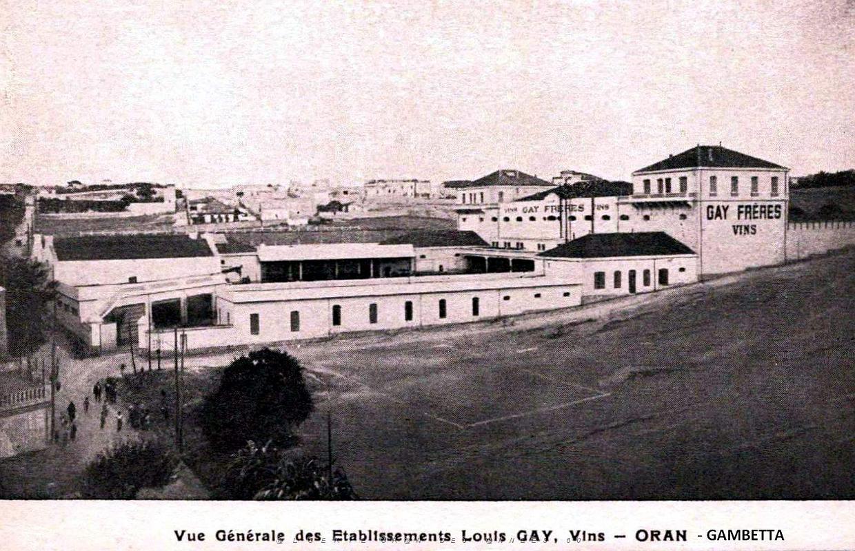 Oran-Gambetta - Vins Gays.jpg
